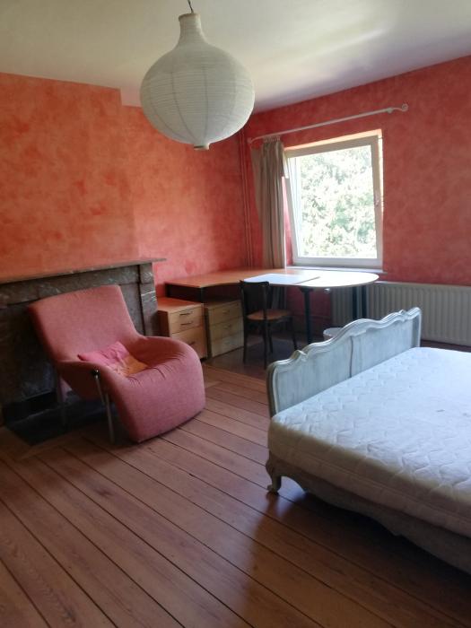 Kot bij bewoner 35 m² in Luik Botanique / rue Saint-Gilles / Jonfosse