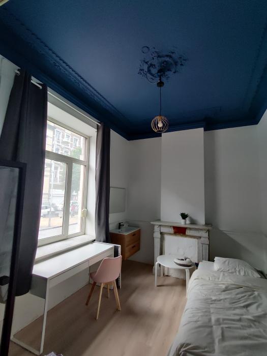 Chambre&#x20;bleue